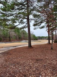228 Pizarro Dr, Hot Springs Village, AR, 71909