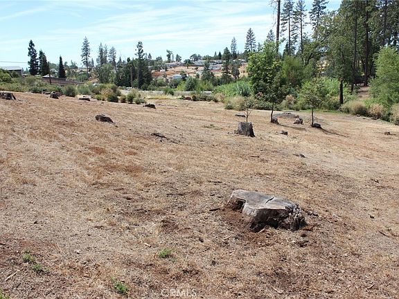 2nd image of 1289 Pearson Rd