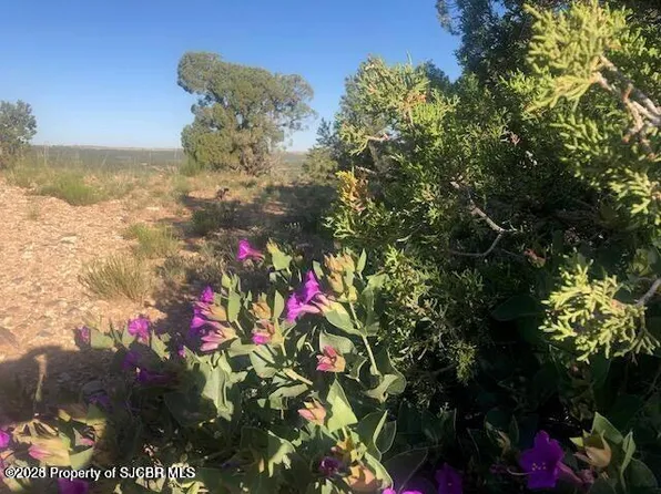 Xx Off Rd #3450, Flora Vista, NM 87415