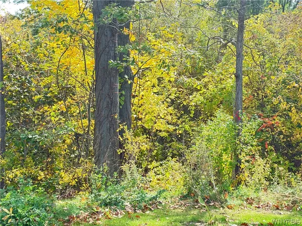 Ridge Rd Lot 12, Lewiston, NY 14092