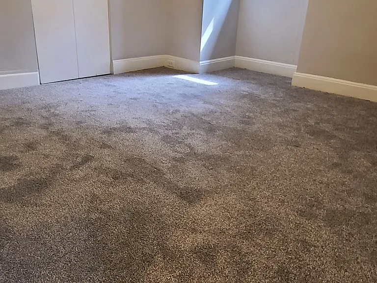 439 S Aiken Ave #10 — Photo 5