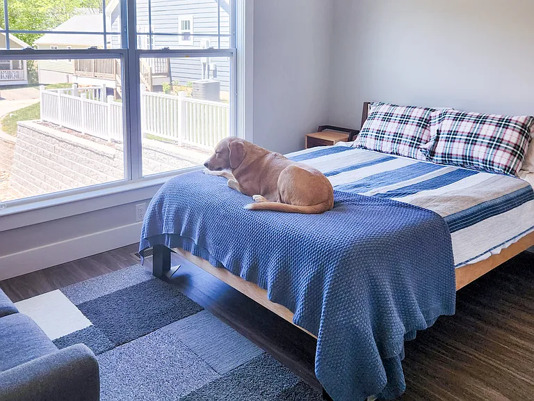 Second bedroom; huge window