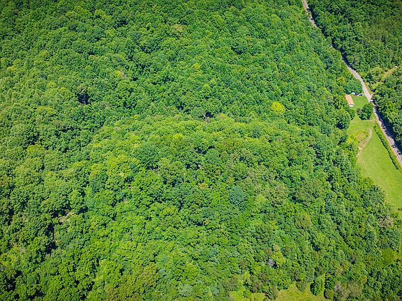 3rd image of Hickory Cove Rd