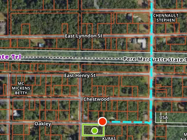 E Oakley Blvd, Idlewild, MI 49642