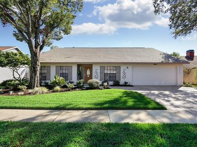 15017 Redcliff Dr, Tampa, FL, 33625