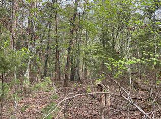 Lots 49 50 Mc #7002, Flippin, AR 72634