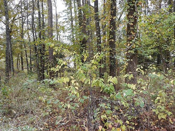 5th image of 2764 Private Road 8692 Lot 9-10