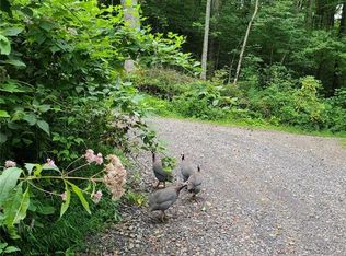 99999 Caperton Point Rd #14, Swannanoa, NC 28778