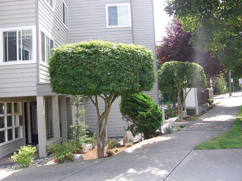 1st image of 2200 Thorndyke Ave W APT 407
