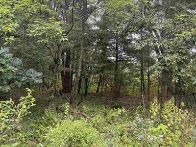 0.46 AC Busse Lane #142, Baraboo, WI, 53913