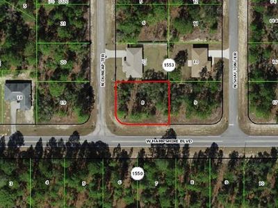 6443 N DUNLAP TERRACE LOT 8, Dunnellon, FL, 34433