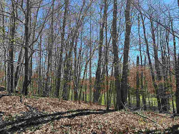 4th image of 4925 Eastwind Way #4