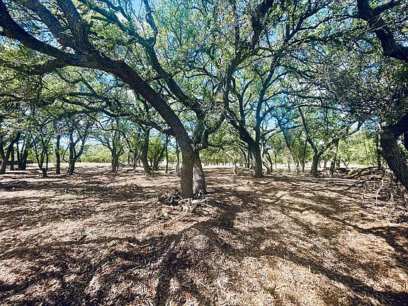 3rd image of 233 Towhead Valley Rd