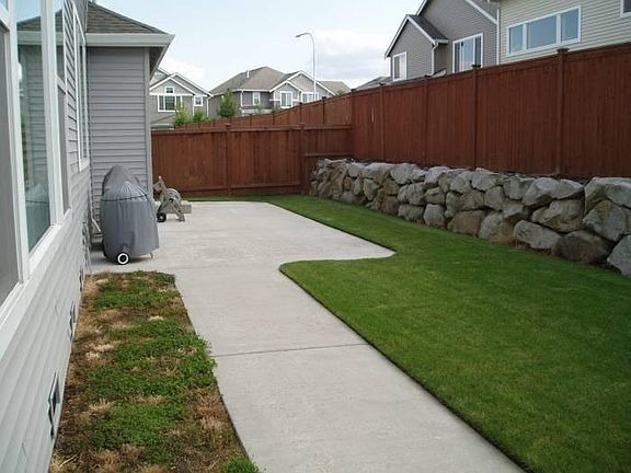 Back yard