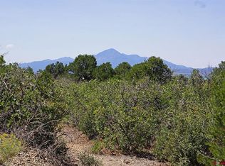 LOT 12 Road U7, Dolores, CO 81323