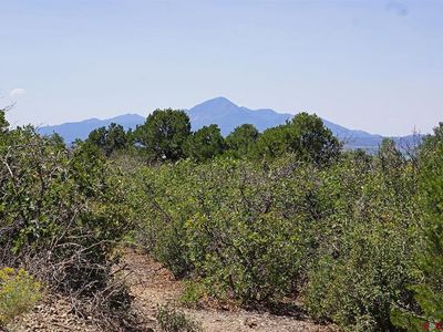 Lot 12 Road U.7, Dolores, CO, 81323