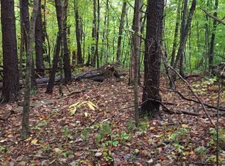 Endicott Hill Rd, Ferrum, VA 24088