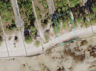 309 Fairview Ln LOT 67, Sopchoppy, FL 32358