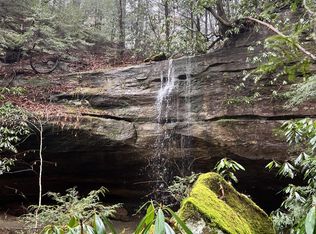 100 Click Rd, Olive Hill, KY 41164