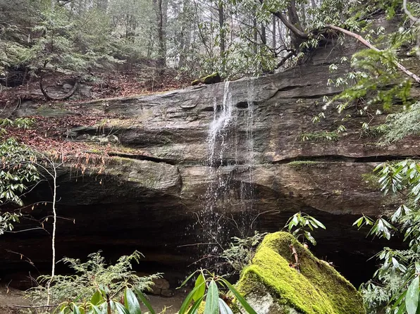 100 Click Rd, Olive Hill, KY 41164