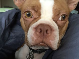 2114 SE Ellis St, Portland, OR