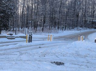 1088 Maverick Trl, Newfoundland, PA 18445