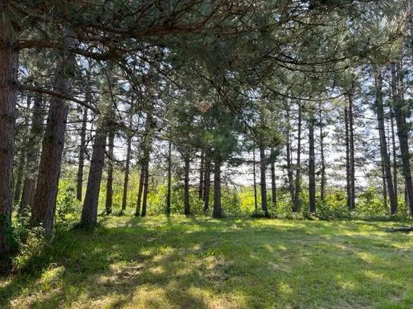 TRACT Two Lake Breeze Ln, Longville, MN 56655