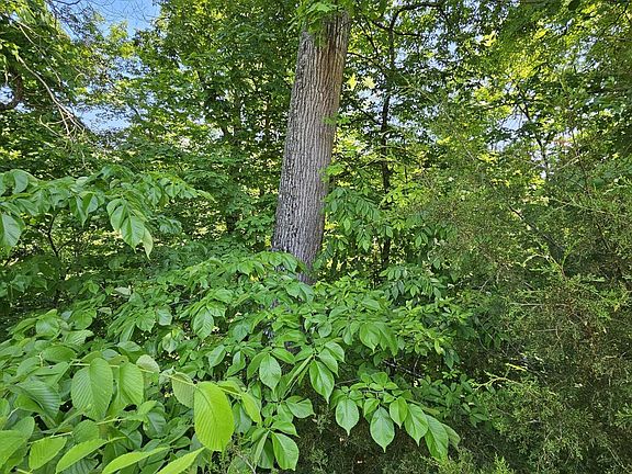 2nd image of LOT 15 Saddleback Way