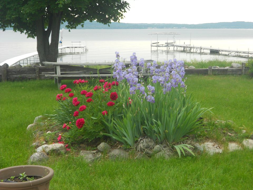 Early summer on the Lake 