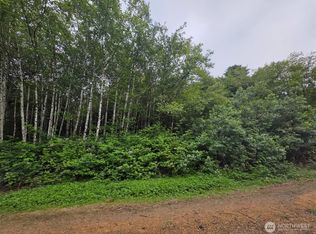 0 Viewcrest Dr, Copalis Beach, WA 98535