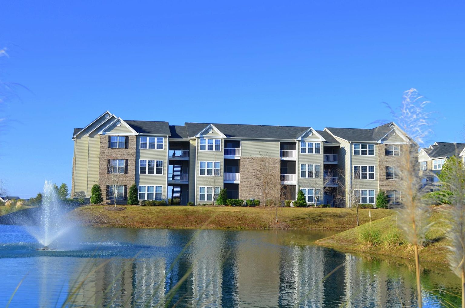 Rice Creek Apartment Rentals Pt Wentworth