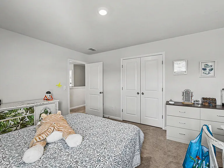 296 Blue Haw Dr — Photo 20