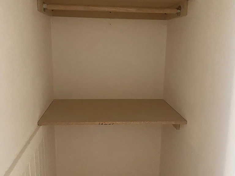 Storage shelves in large closet