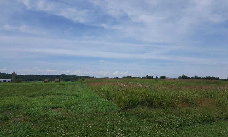 1st image of 5155 Us Highway 411 S