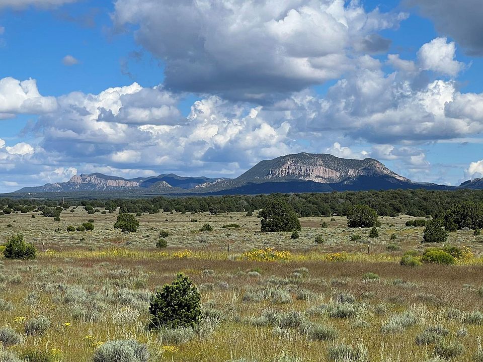 Buckhorn Dr, Pie Town, NM 87827 MLS 20225096 Zillow