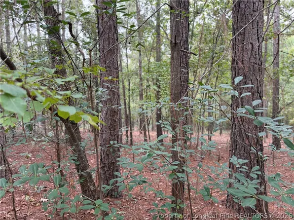 LOT 7A Mumford Rd, Raeford, NC 28376