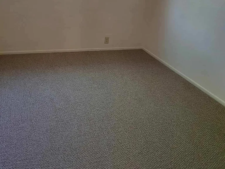 824 N Richey Blvd — Photo 8