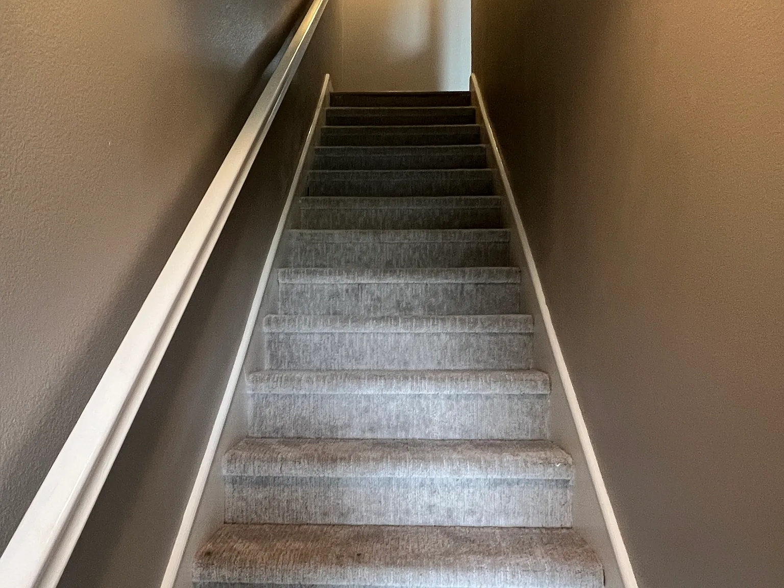 3 bed, 1288 sqft, $3,395 — Photo 4