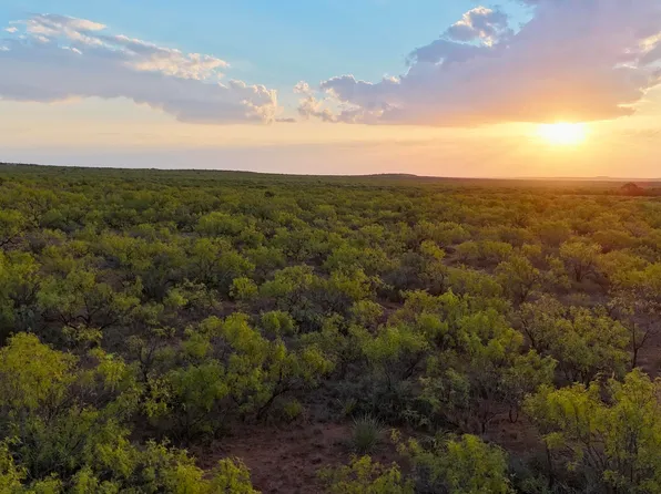 County Road 370, Dickens, TX 79229