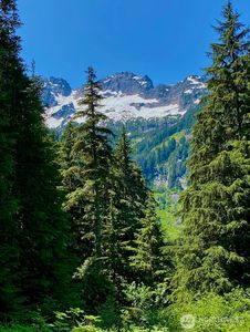 0 Mountain Loop Highway, Granite Falls, WA, 98252