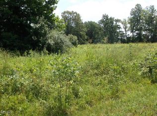8040 Tunnel Hill Rd, Goreville, IL 62939