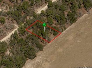 313 S Crestview Ave, Inverness, FL 34452