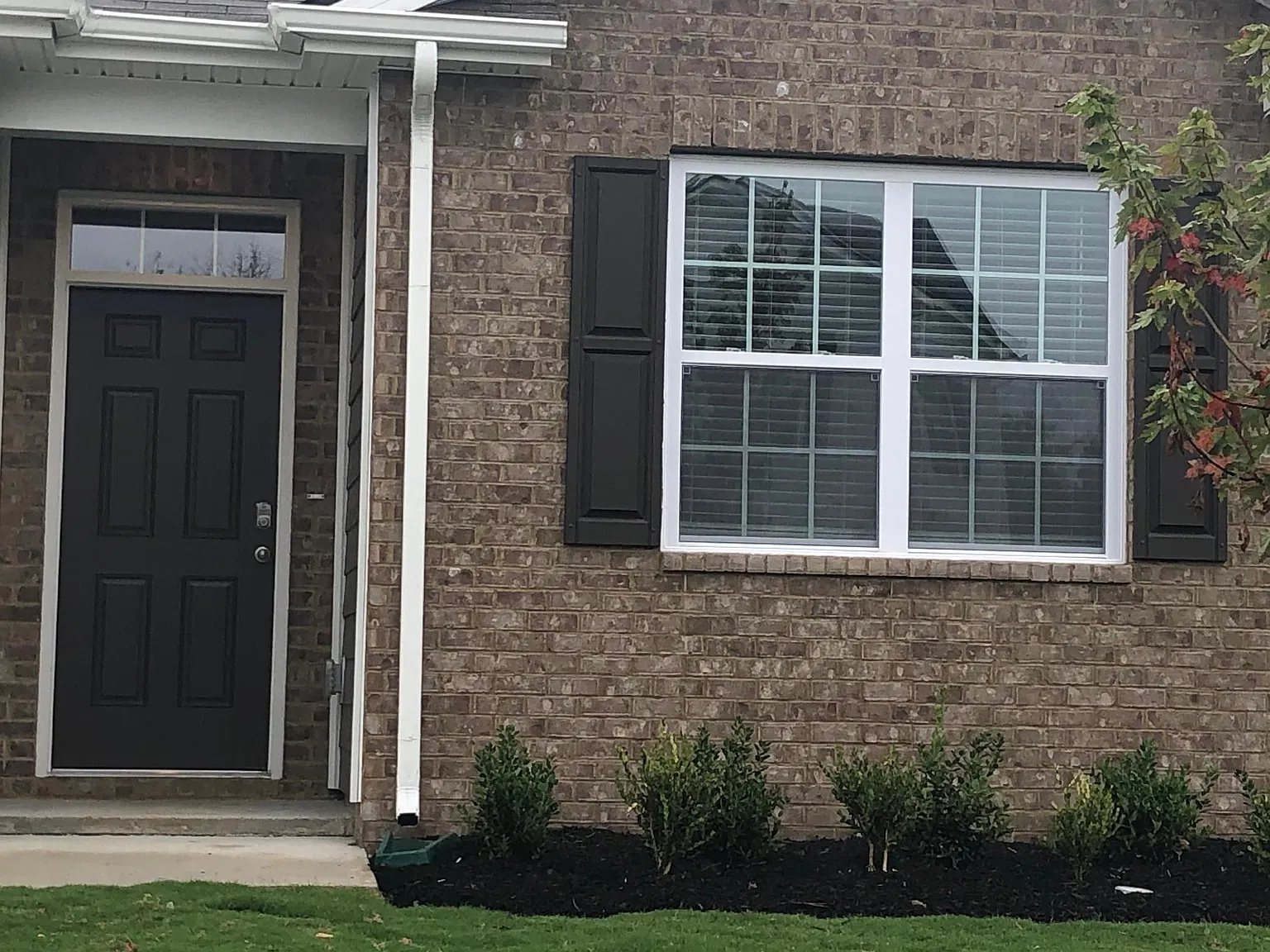 4 bed, 1774 sqft, $2,350 — Photo 2