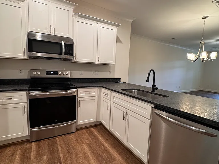 313 Clarus Creek Way — Photo 5