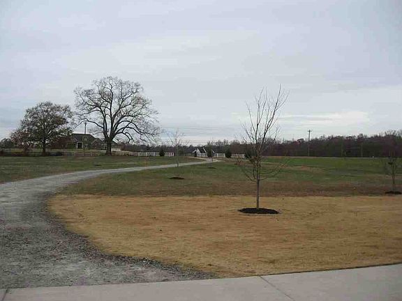 View from driveway
