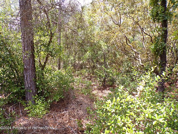 5th image of 4162 W Citrus Springs Blvd