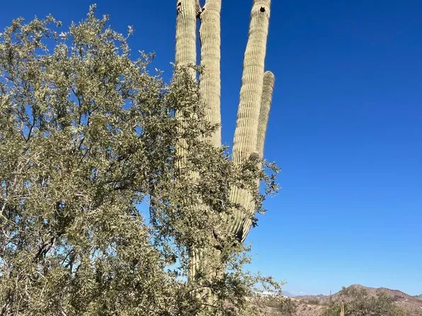 26113 N 113th Avenue #-, Peoria, AZ 85383