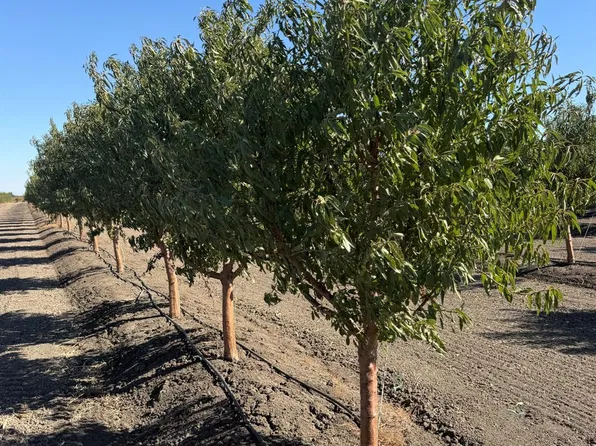 Clarksburg Rd, Clarksburg, CA 95612