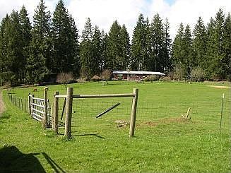Beautiful setting, 6+ acres, view of Mt. St. Helens, tall trees surround.