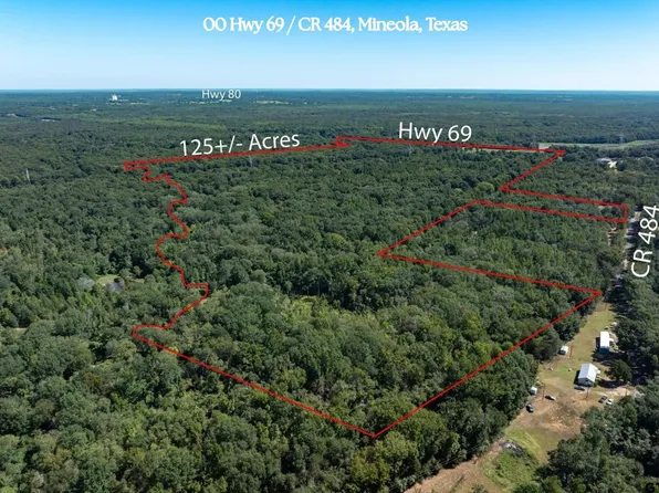0 Highway 69/cr #484, Mineola, TX 75773